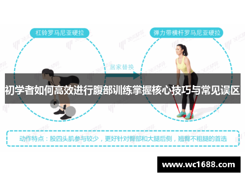 初学者如何高效进行腹部训练掌握核心技巧与常见误区